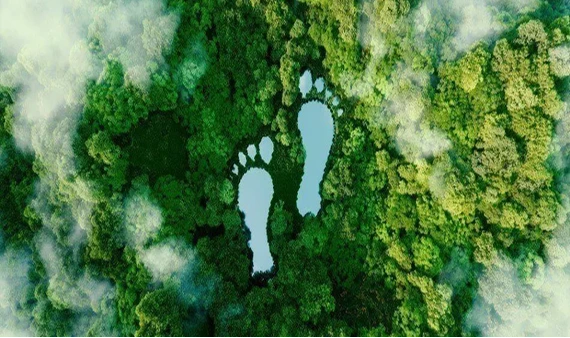 Eco-conscious footprint image