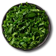 Spinach
